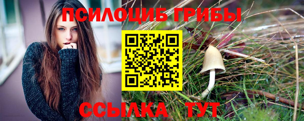 Галлюциногенные грибы мухоморы  Вход с VPN  цена наркотик  Химки  Галлюциногенные грибы Psilocybe 
